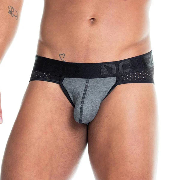 GIGO - Prudence Brief