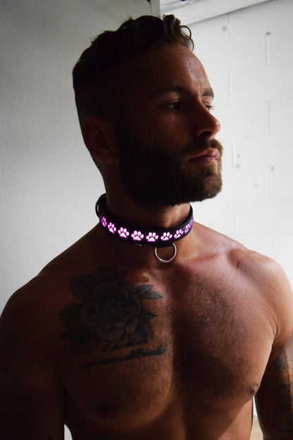 BREEDWELL - Glow Pup Collar MULTI SELECTIVE ONE SIZE