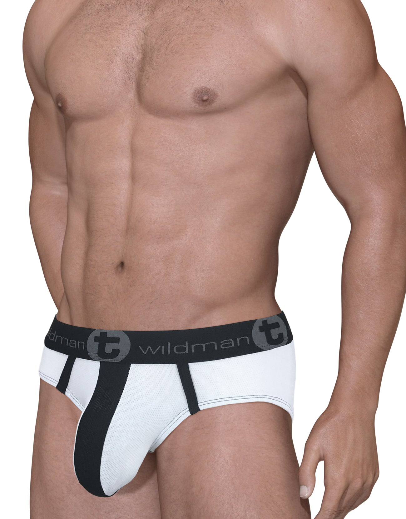 WILDMANT - Mesh Big Boy Pouch Brief with Stripe