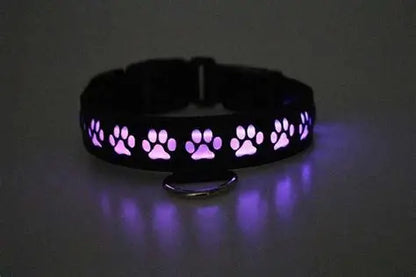 BREEDWELL - Glow Pup Collar MULTI SELECTIVE ONE SIZE