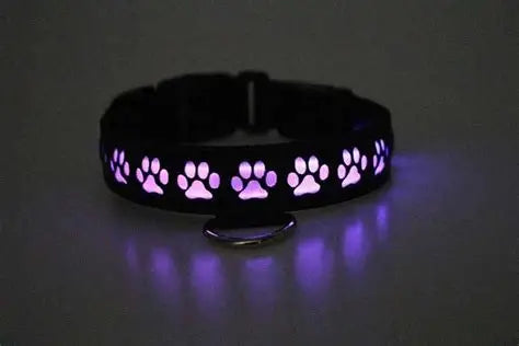 BREEDWELL - Glow Pup Collar MULTI SELECTIVE ONE SIZE