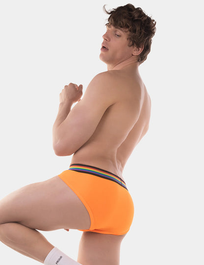 BARCODE - Pride Brief