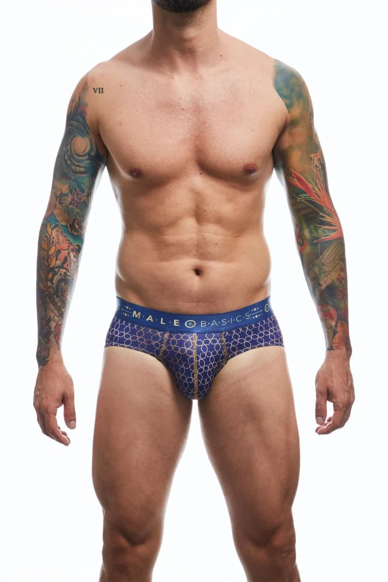 MALEBASICS - Harmony Hipster Brief