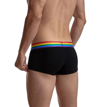 JOCKMAIL - PRIDE Edition Cotton Boxer Brief